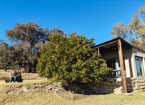 Springwater Cottages in Fouriesburga