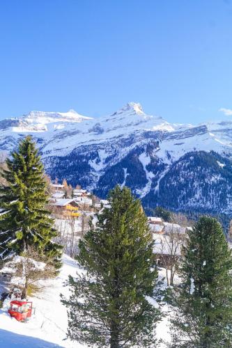 Les Diablerets - Charming Chalet with View in Les Diablerets
