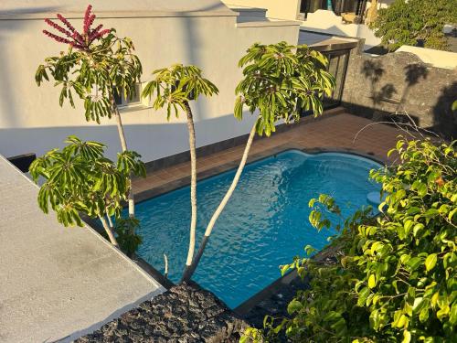 Kolam renang, Villa Marée La Costa (Villa Maree La Costa) in Tinajo