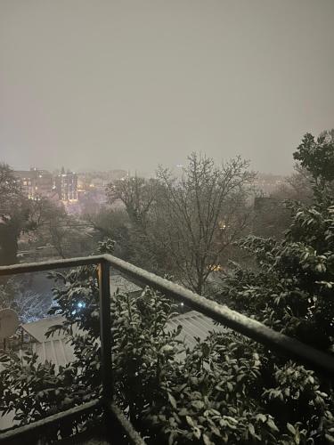 Golden Grape in Тбілісі