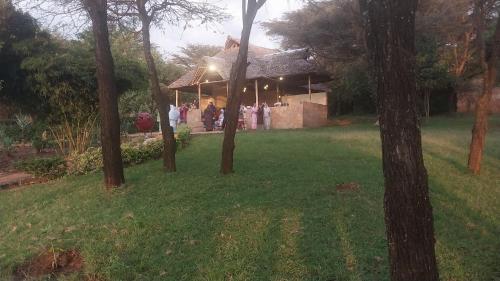 Acacia Sunset Mara Camp in Narok