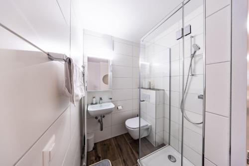 The R Apartment Belchen, Basilea (foto 9)