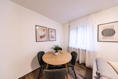 The R Apartment Belchen, Basilea (foto 7)