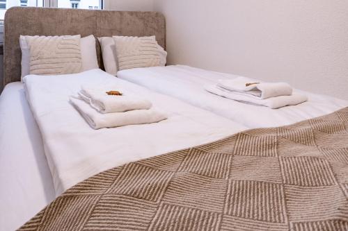 The R Apartment Belchen, Basilea (foto 5)