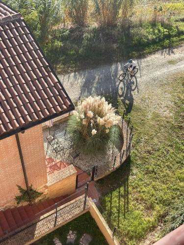 景觀, La Bordona Monferrato cobalto e corallo in 維尼亞萊蒙費拉托