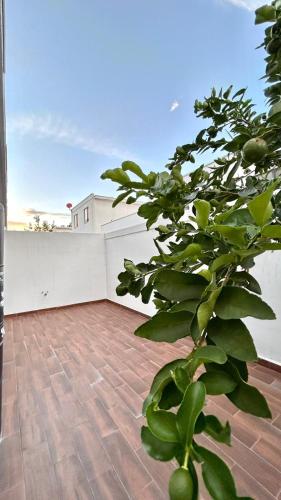 Casa Valle de Cumbres 4 habitaciones Facturamos in 昆夫雷斯