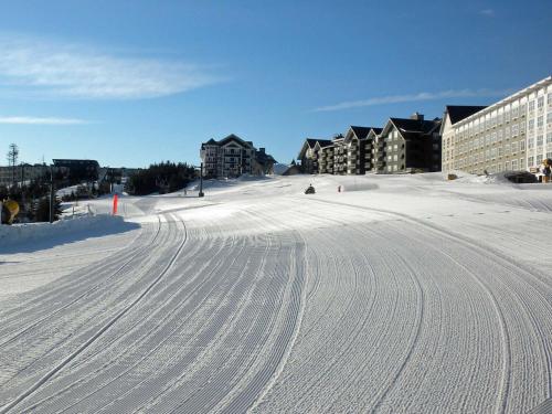 Exterior view, Shays Landing #6: 4 Bedrooms, 45 Bath: Pvt Hot Tub, Slope Side in Snowshoe (WV)