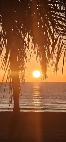 Torrevieja Playa