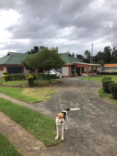 酒店外观, Private Nanyuki-Getaway in 那纽基