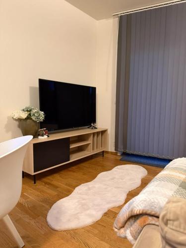 Modern apartment near Oslo