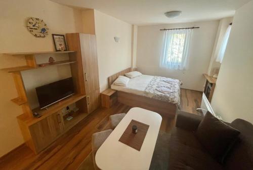 Studio Harmony, Pamporovo, Pamporovo