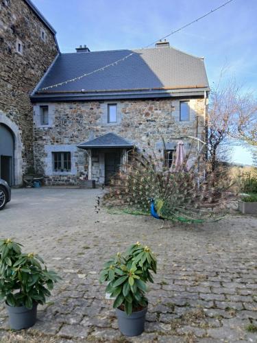 La Ferme du Château gîte à louer Rougethier