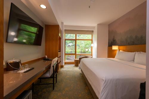 1 king bed