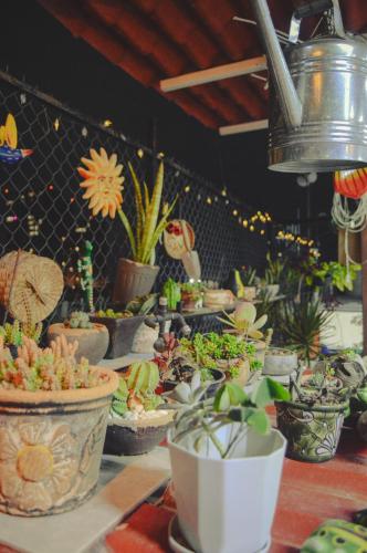 Hostal Guadalajara 5