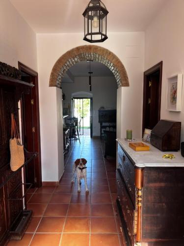 Casa el Pedroso - Villa Limones in El Pedroso