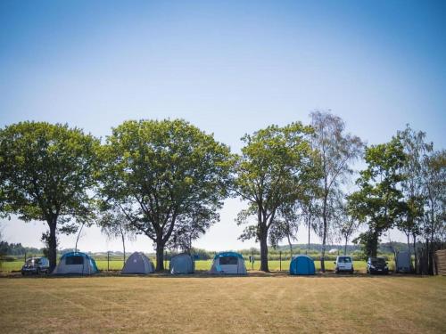 Apkārtne, 3-Bedroom Central Retreat in Ravels in Poppel