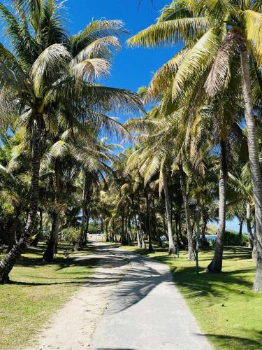 眺めの良い周辺の自然