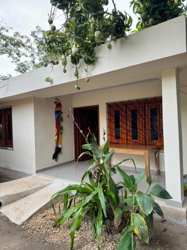 Villa Lexis