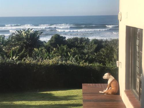 Waves End Holiday Home in Southbroom