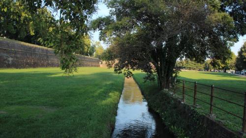 LuccaStay - image 14