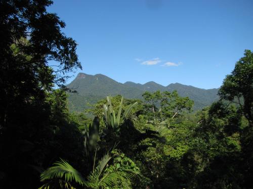 Mossman Gorge Bed and Breakfast Port Douglas