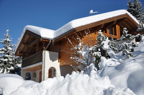 Chalet Au Gré Du Temps Les Gets