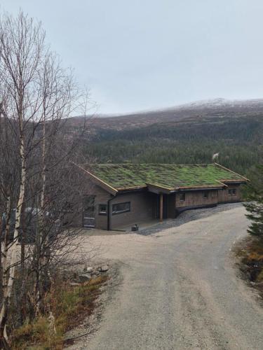 A szálláshely kívülről, Modern mountain cabin with panorama view- Special offer summer 2026 for longer stay in Eggedal