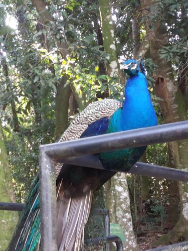 Pousada Catarina in Maringa