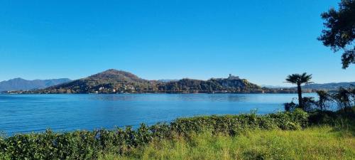 Arona Lake APT View