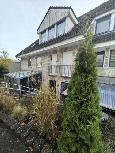 Lütt Fiete (Lutt Fiete) in Gromitz