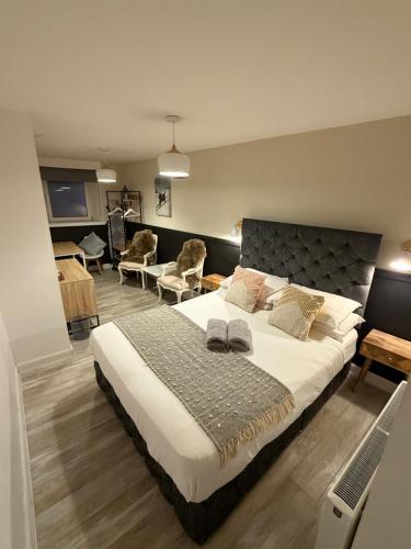 Alpine Apartments - 2 in 布萊爾高里市中心