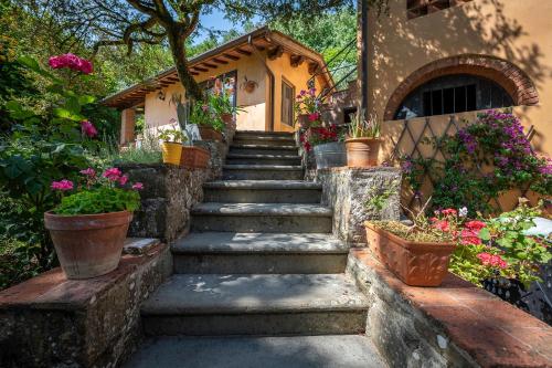 La Casa sui Colli in Pescia