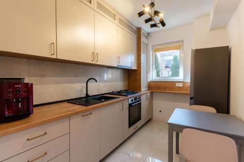 Elite Comfort Apartament in Scheia