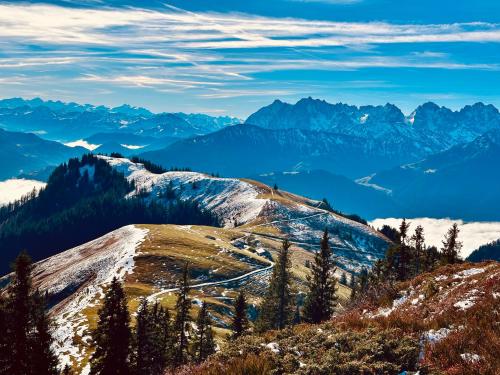 Lochner Alm in Winkl