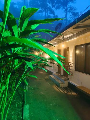 Vagamon Bike Riders Couple stay Farm House - Thekkady