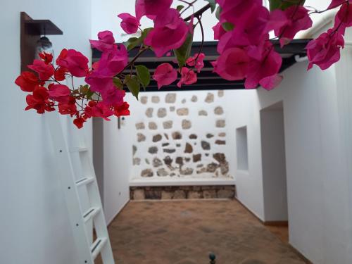 Casa Mocan 4