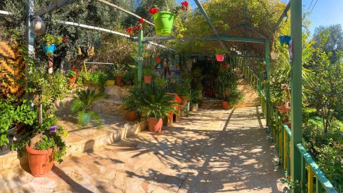 بيت الطبيعة nature house, Džaraš