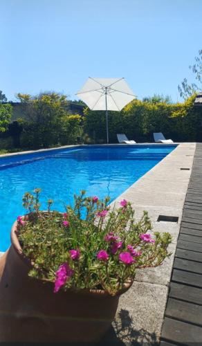 ParaisolaRinconada