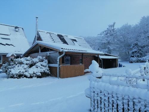 Ferienhaus Jantzen in Wingst