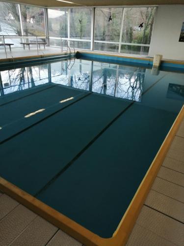 Swimming pool, Schones Apartment mit Pool&Sauna in Bingen am Rhein