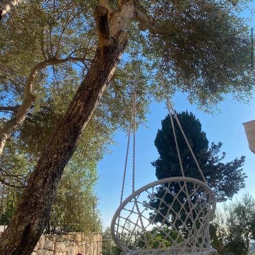 Zaaytre house in 哈拉特