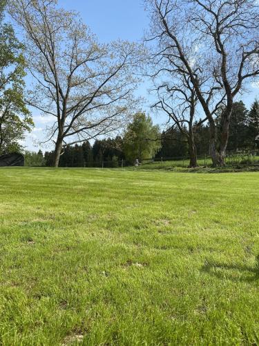 PuraVida- Ferienhaus im Grünen bei Freistadt Großer Garten & Hunde willkommen (PuraVida- Ferienhaus im Grunen bei Freistadt Großer Garten & Hunde willkommen) in 弗賴施塔特