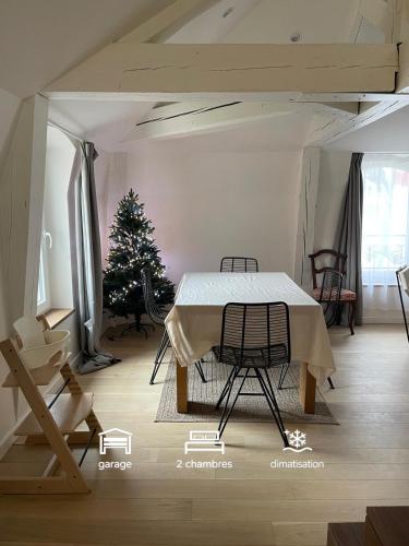 Les baleines - hypercentre 2 chambres avec garage et clim - air conditioning