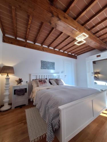 La casa del fenicottero in Campi Bisenzio