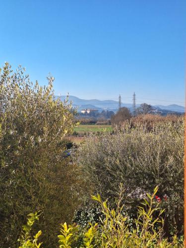 A környék, La casa del fenicottero in Campi Bisenzio
