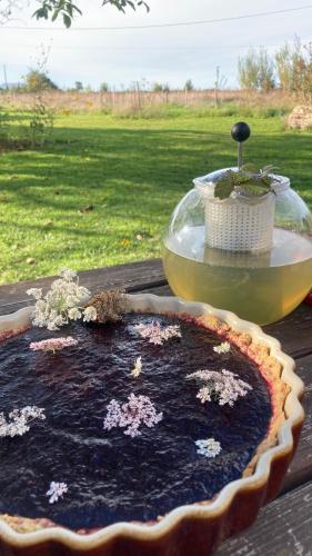 Simples Escales : gite nature, detente et sauna in Les Rosiers-sur-Loire