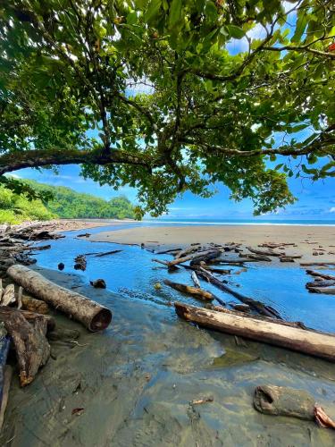 Ballena Oasis Homes & Glamping in Uvita