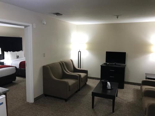 Comfort Inn & Suites Galleria - image 3