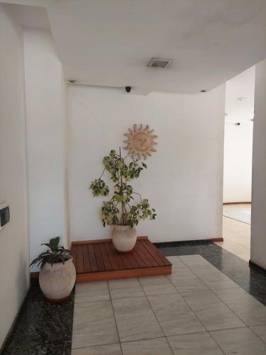 Mirasol - image 3