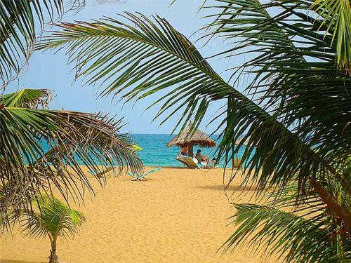 Hôtel Awalé Plage - Village Vacances